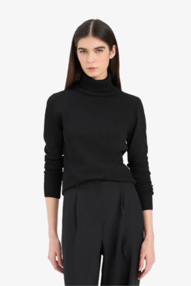 Regular Fit Half Turtleneck Pullover