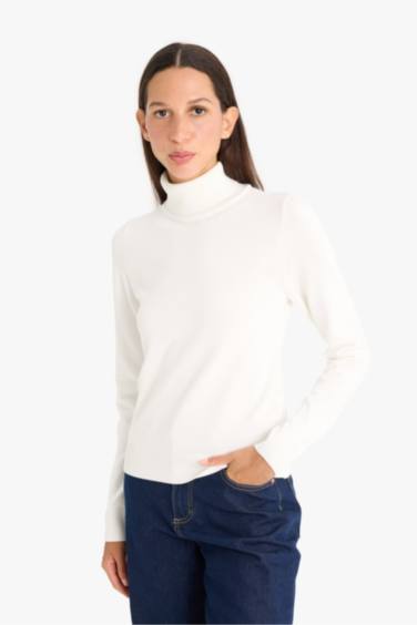 Regular Fit Half Turtleneck Pullover