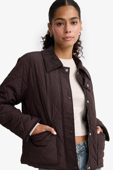Waterproof Regular Fit Polo Collar Pocketed Puffer Jacket
