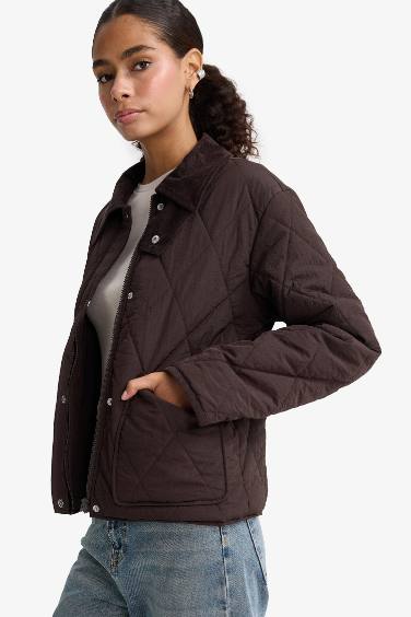 Waterproof Regular Fit Polo Collar Pocketed Puffer Jacket