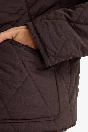 Waterproof Regular Fit Polo Collar Pocketed Puffer Jacket