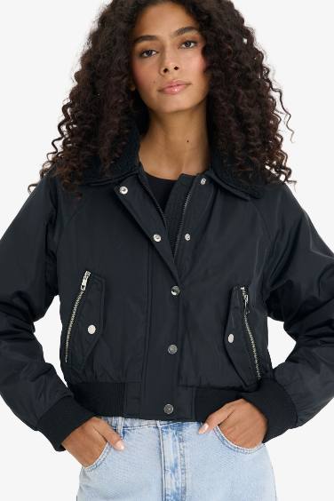 Regular Fit Polo Neck Waterproof Crop Jacket