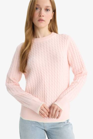 Regular Fit Crew Neck Pullover