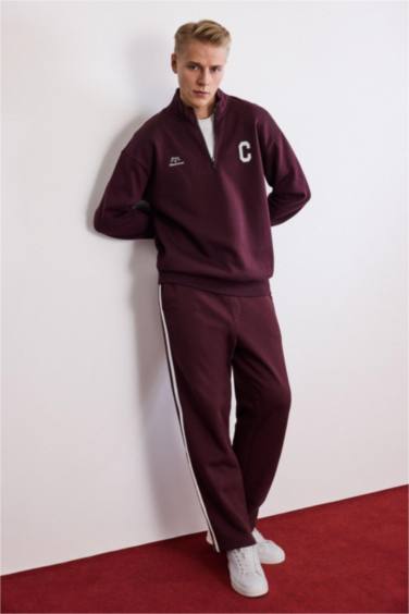 Boxy Fit Dik Yaka Fermuarlı Baskılı Sweatshirt