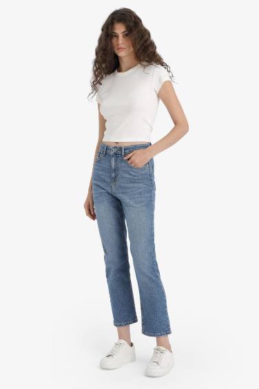 Mary Vintage Straight Fit High Waist Ankle Length Jeans