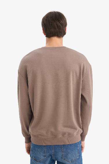 Cotton Boxy Fit Crew Neck Embroidered Sweatshirt