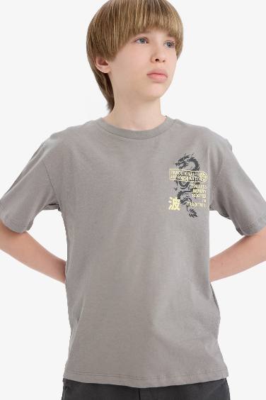 Boy New Regular Fit Crew Neck T-Shirt