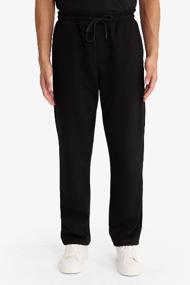 Regular Fit Trousers