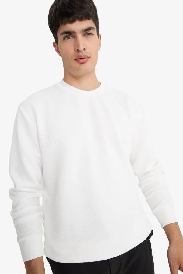 سويت شيرت قصة عادية برقبة مستديرة