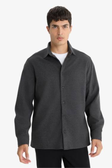 Regular Fit Polo Neck Twill Long Sleeve Shirt