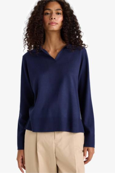 Regular Fit Polo Neck Knit Pullover