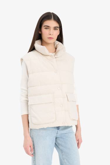Regular Fit Stand Collar Zippered Puffer Vest