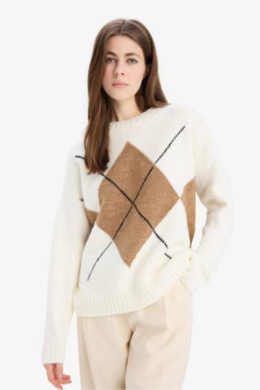 Oversize Fit Basic Crew Neck Knitwear Pullover