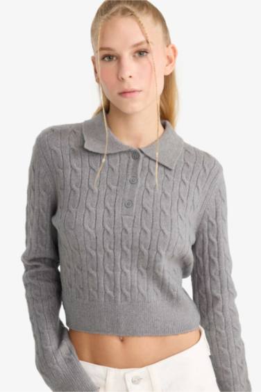 Coool Slim Fit Dar Kesim Polo Yaka Kazak