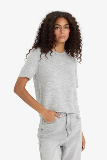 Regular Fit Crew Neck Embroidered Knitwear Pullover