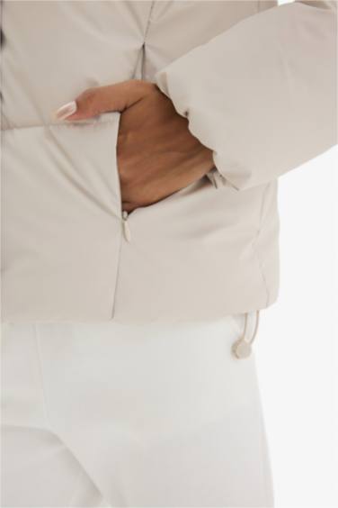 Regular Fit Hooded Puffer Jacket