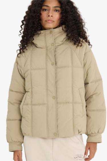 Regular Fit Hooded Puffer Jacket