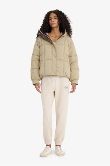 Regular Fit Hooded Puffer Jacket