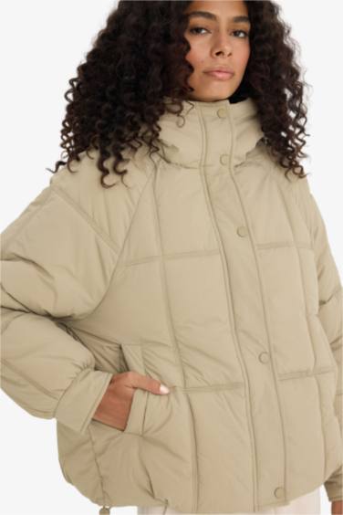 Regular Fit Hooded Puffer Jacket