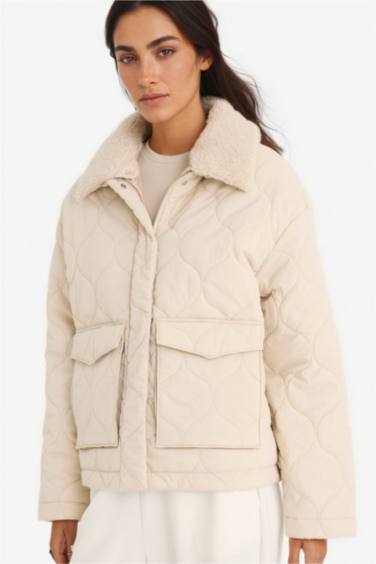 جاكيت مبطن قصة عادية بياخة بولو مبطن بالصوف