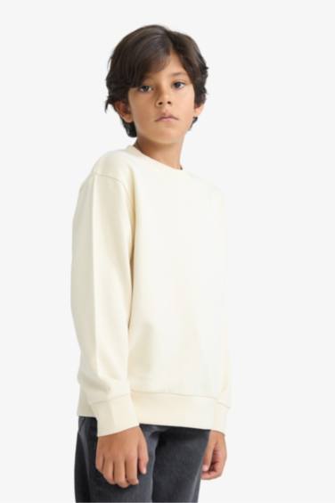 Boy Regular Fit Crew Neck Basic Sweatshirt