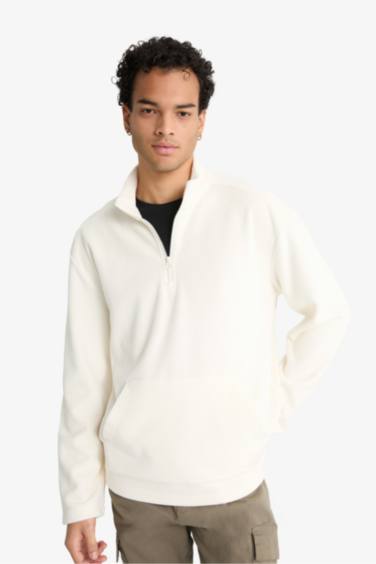 Regular Fit Stand Collar Half Zippered Velvet Sweatshirt