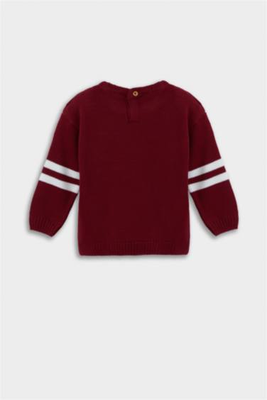 Baby Boy Crew Neck Printed Pullover