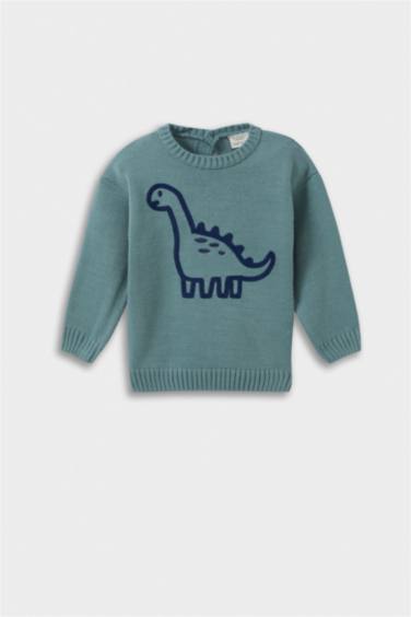 Baby Boy Regular Fit Pullover