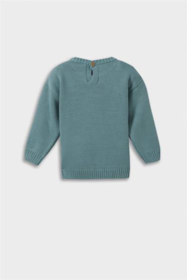 Baby Boy Regular Fit Pullover