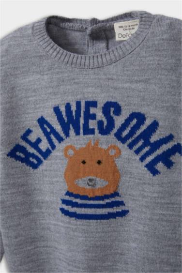 Baby Boy Crew Neck Bear Print Pullover