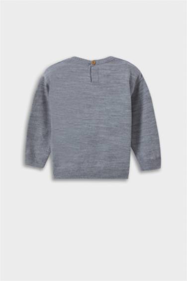 Baby Boy Crew Neck Bear Print Pullover