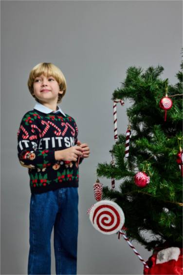 Baby Boy Regular Fit Pullover