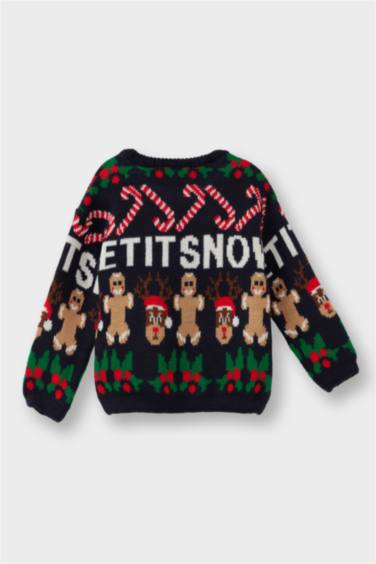 Baby Boy Regular Fit Pullover