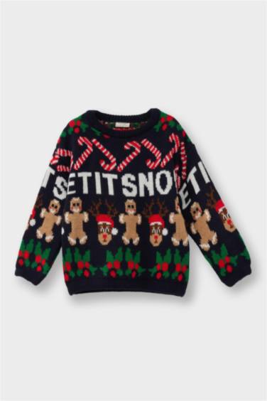 Baby Boy Regular Fit Pullover