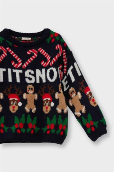 Baby Boy Regular Fit Pullover