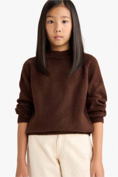 Girl Regular Fit Crew Neck Pullover