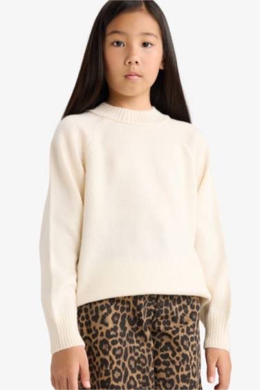 Girl Regular Fit Crew Neck Pullover