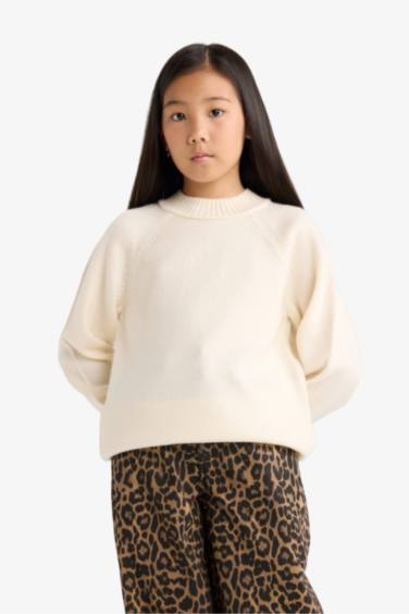 Girl Regular Fit Crew Neck Pullover