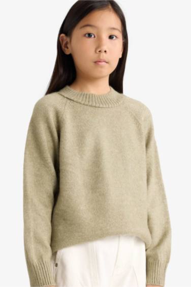 Girl Regular Fit Crew Neck Pullover