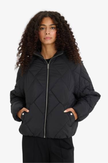 Waterproof Regular Fit Puffer Jacket