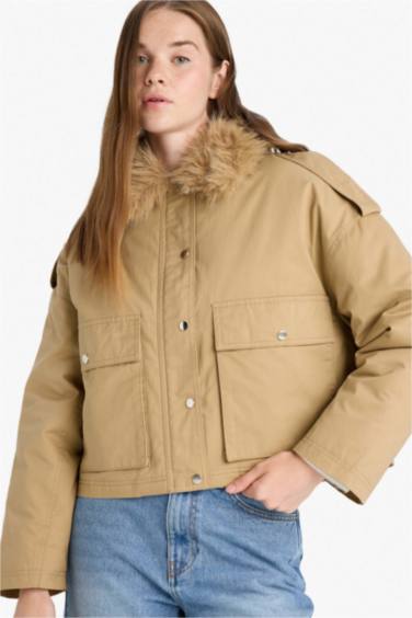 Waterproof Regular Fit Cotton Puffer Jacket