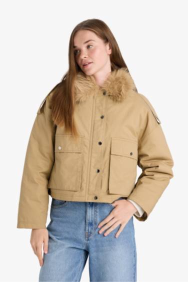 Waterproof Regular Fit Cotton Puffer Jacket