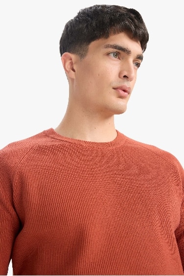 Standard Fit Crew Neck Knitwear Pullover