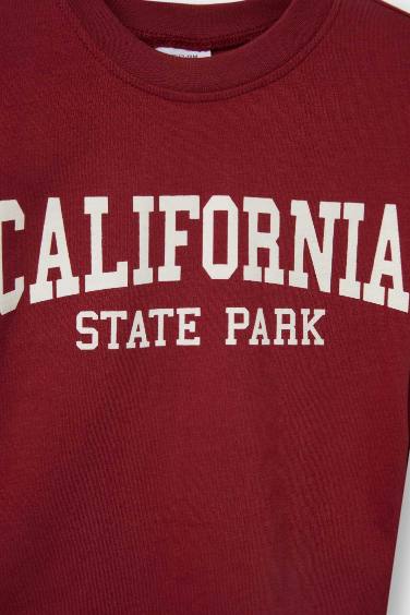 Baby Boy Regular Fit Crew Neck Slogan Printed 2 Piece T-Shirt