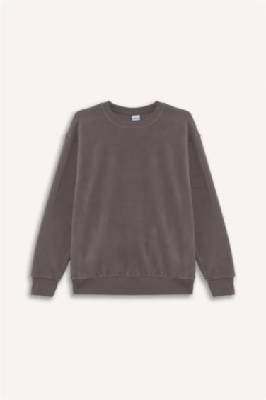 Relax Fit Bisiklet Yaka Polar Sweatshirt