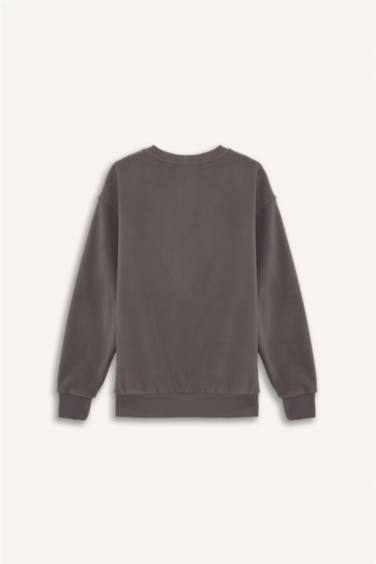 Relax Fit Bisiklet Yaka Polar Sweatshirt