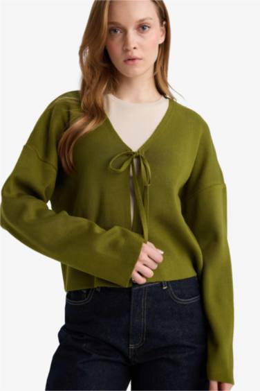 كارديجان صوف برقبة على شكل V قصة عادية