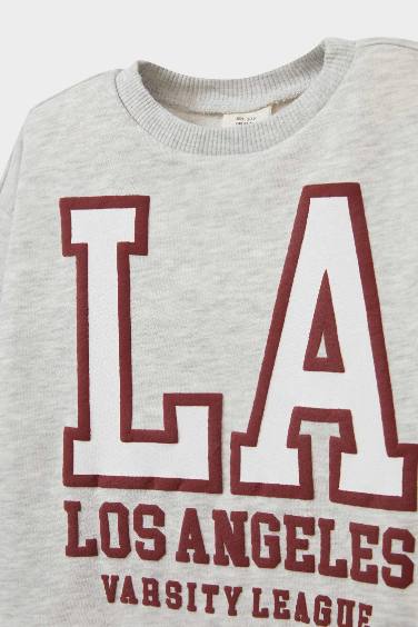 Baby Girl Crew Neck Printed Soft Fleece Lining Sweatshirt