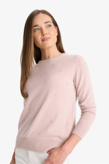 Regular Fit Crew Neck Knitwear Pullover