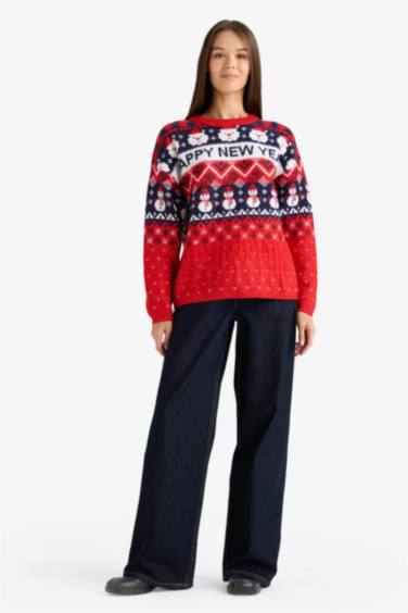 Regular Fit Crew Neck Color Block Christmas Pullover